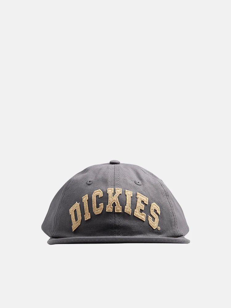Dickies - Princeton 6 Panel Cap Charcoal
